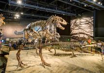 Natural History Museum of Utah