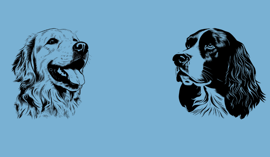 Footer image
