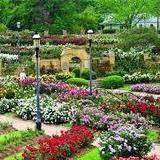Tyler Rose Garden