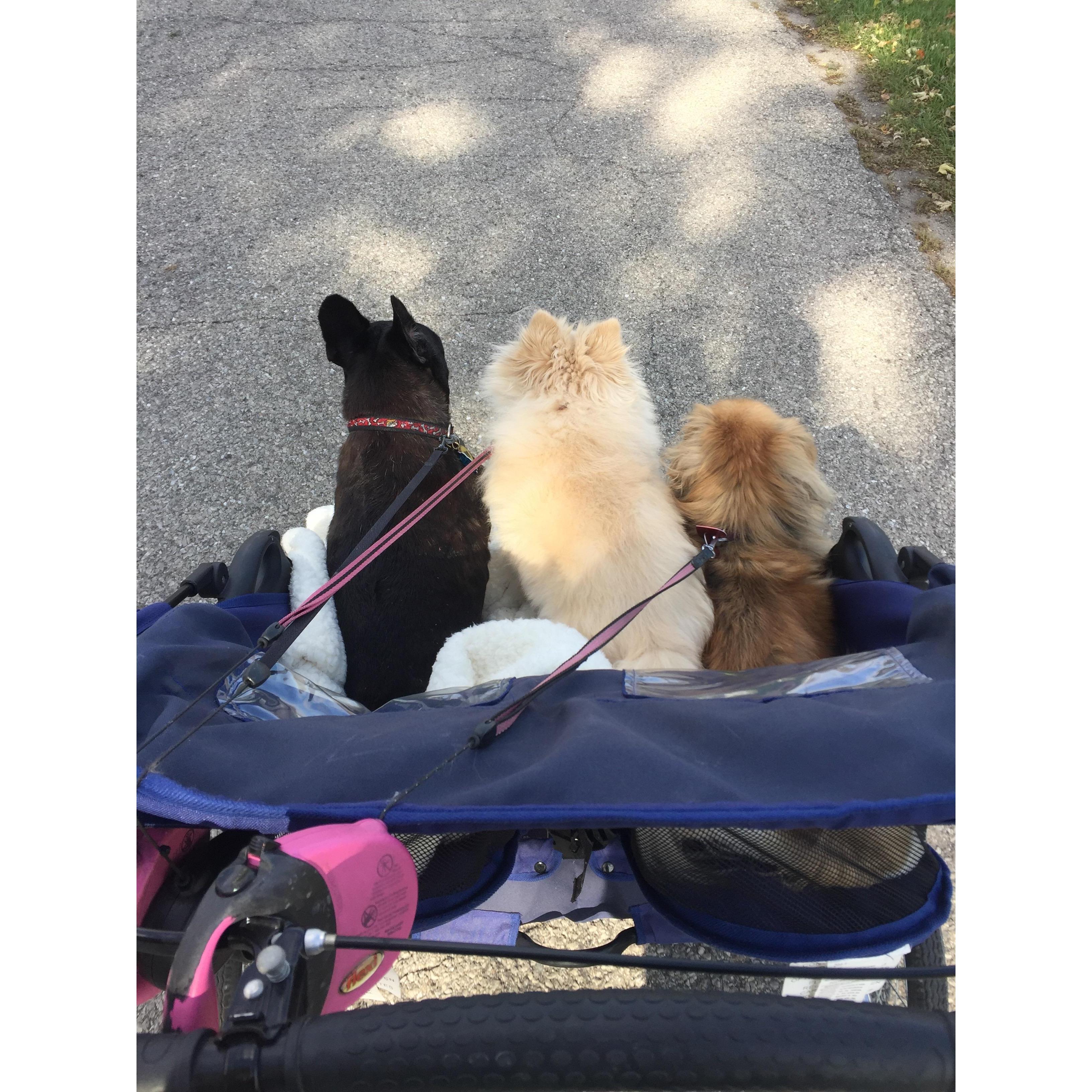 walks with our babies.
