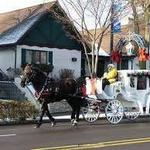 Fantasy Carriage Company