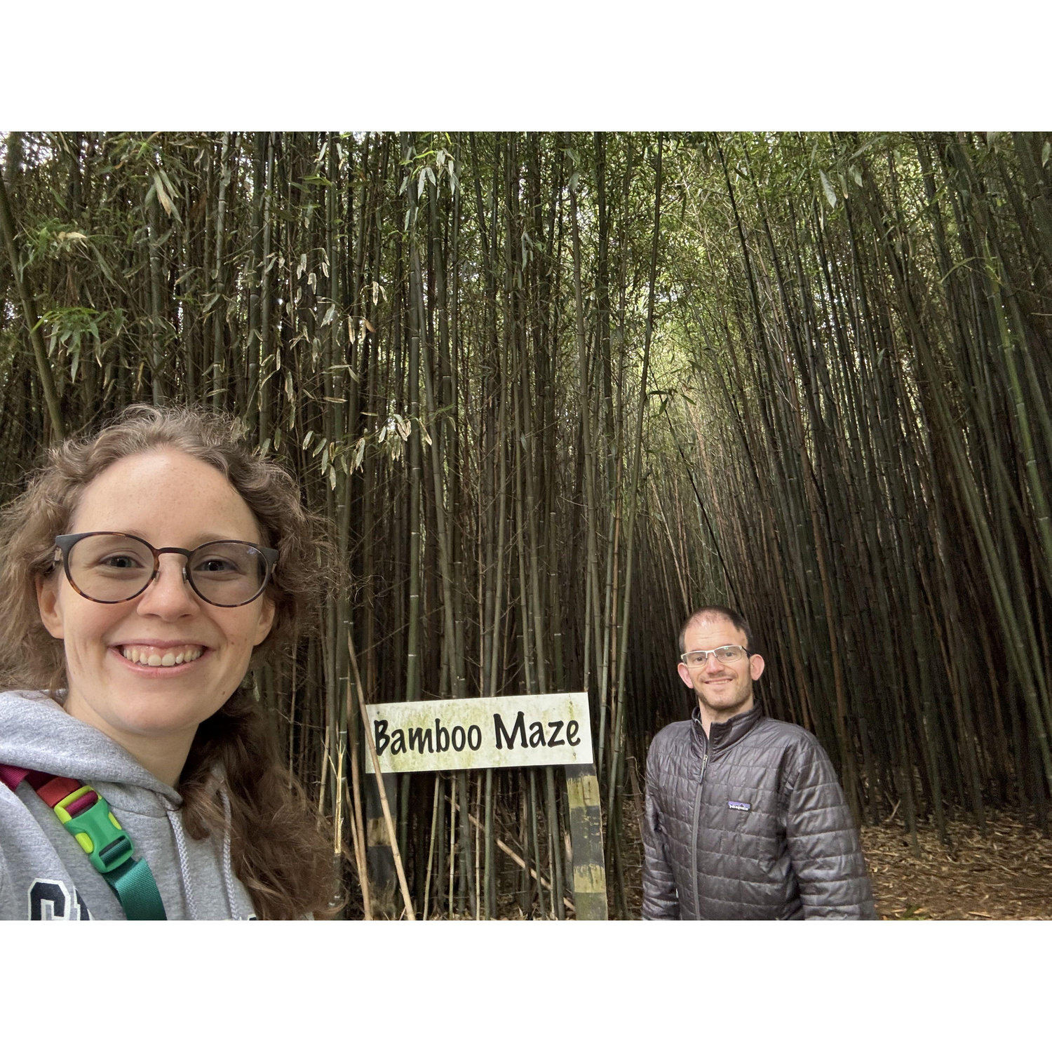 Exploring different mazes in a farm