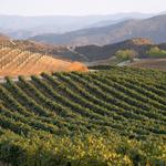 Temecula