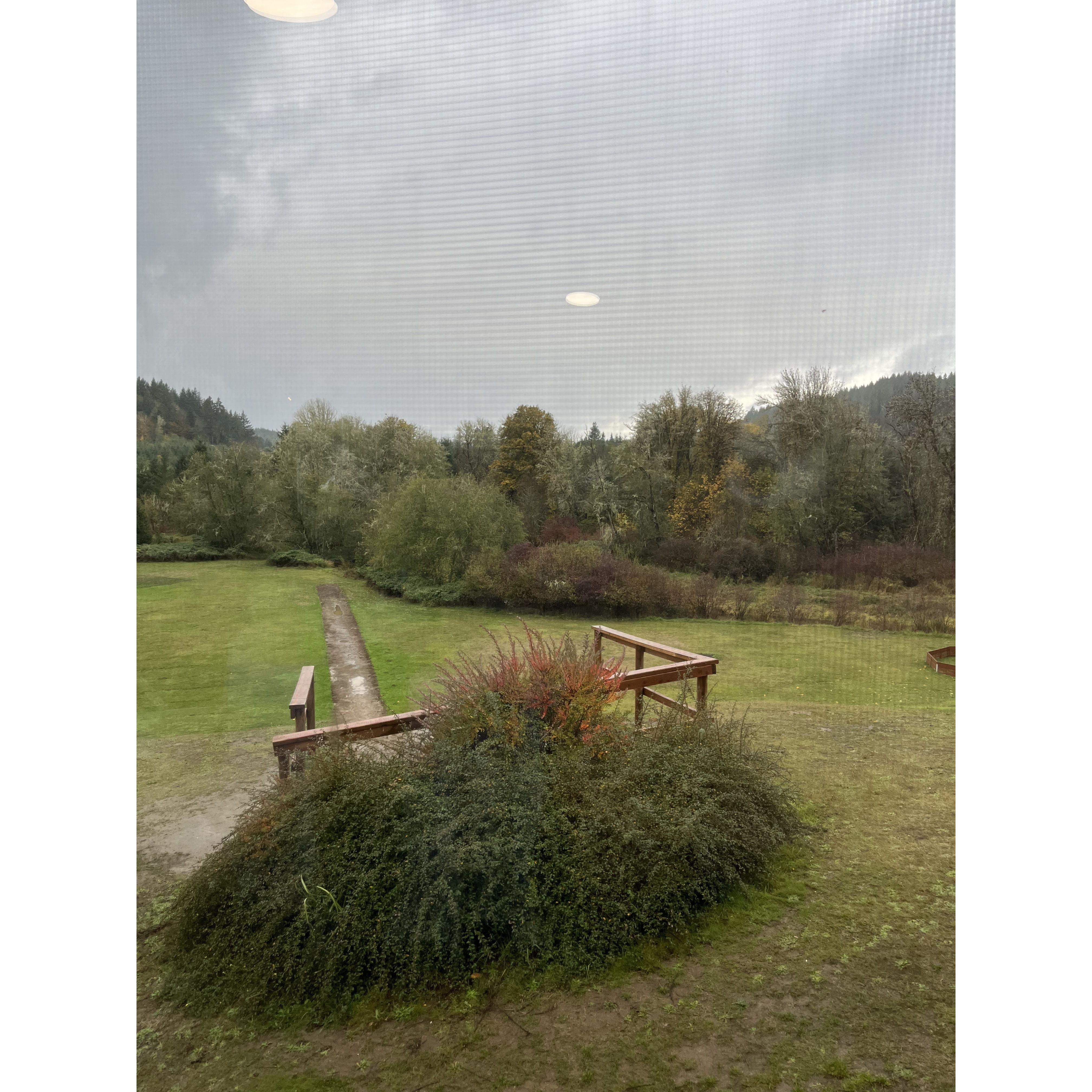 Slip & slide (taken from inside dining area)