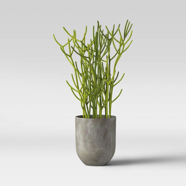 Faux Indian Tree Spurge Plant in Gray Pot - Project 62™