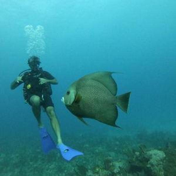 Scuba Diving in Bora Bora