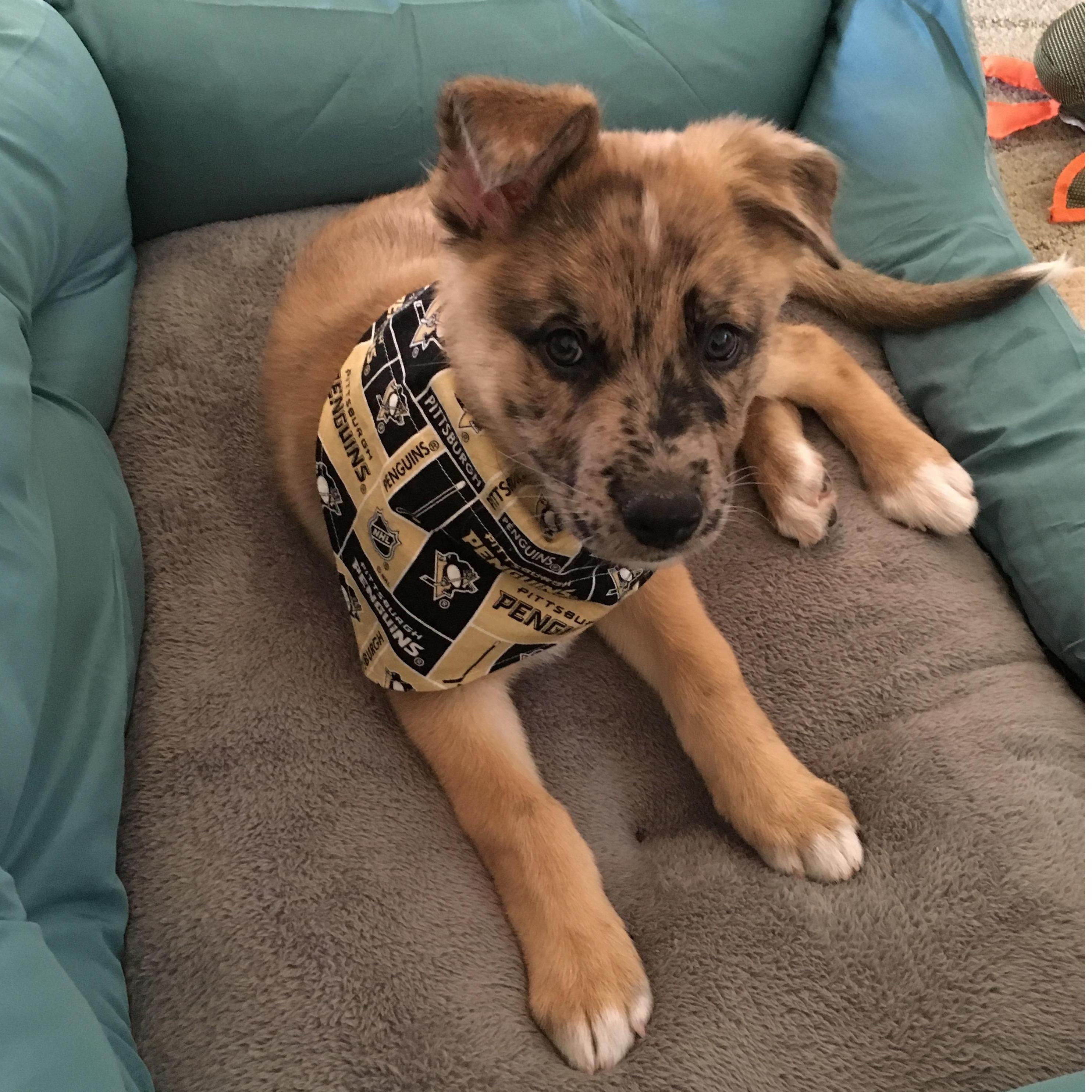 And a baby Randy!! - Jan 2016