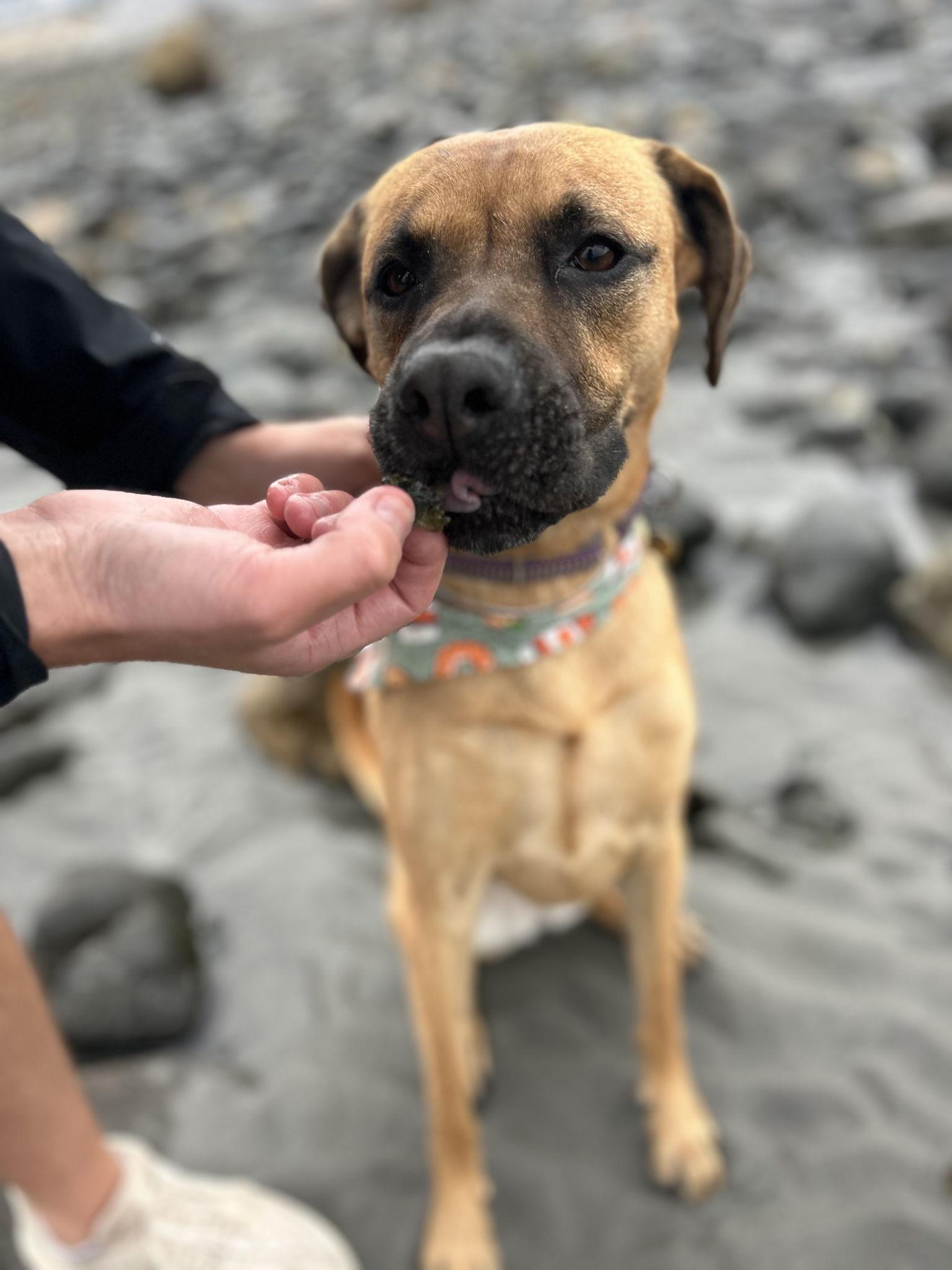 489e5cc7-9e64-4ad8-bc93-a31c77895874