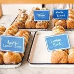 General Porpoise Doughnuts