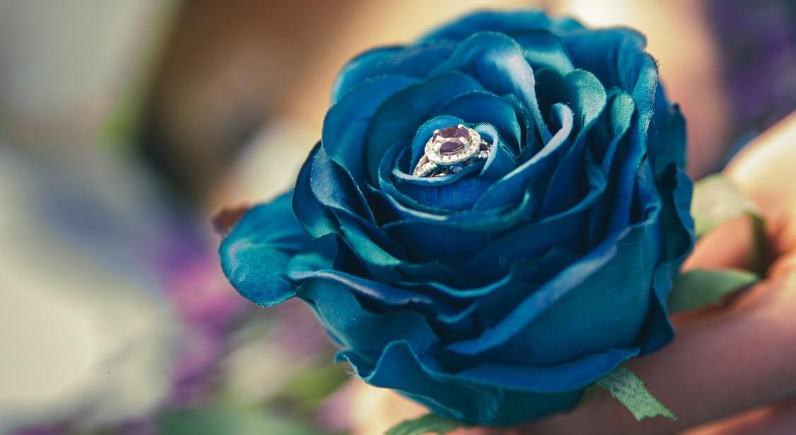 Footer image