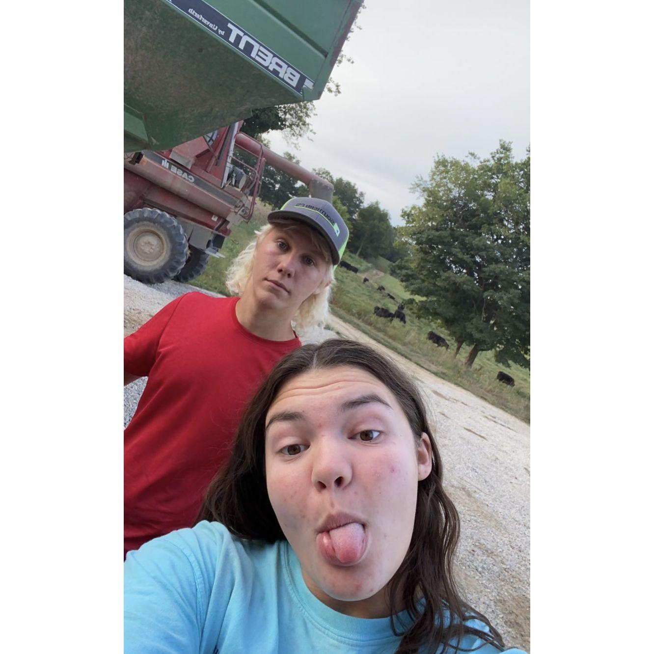 Many, many harvest dates - 2021