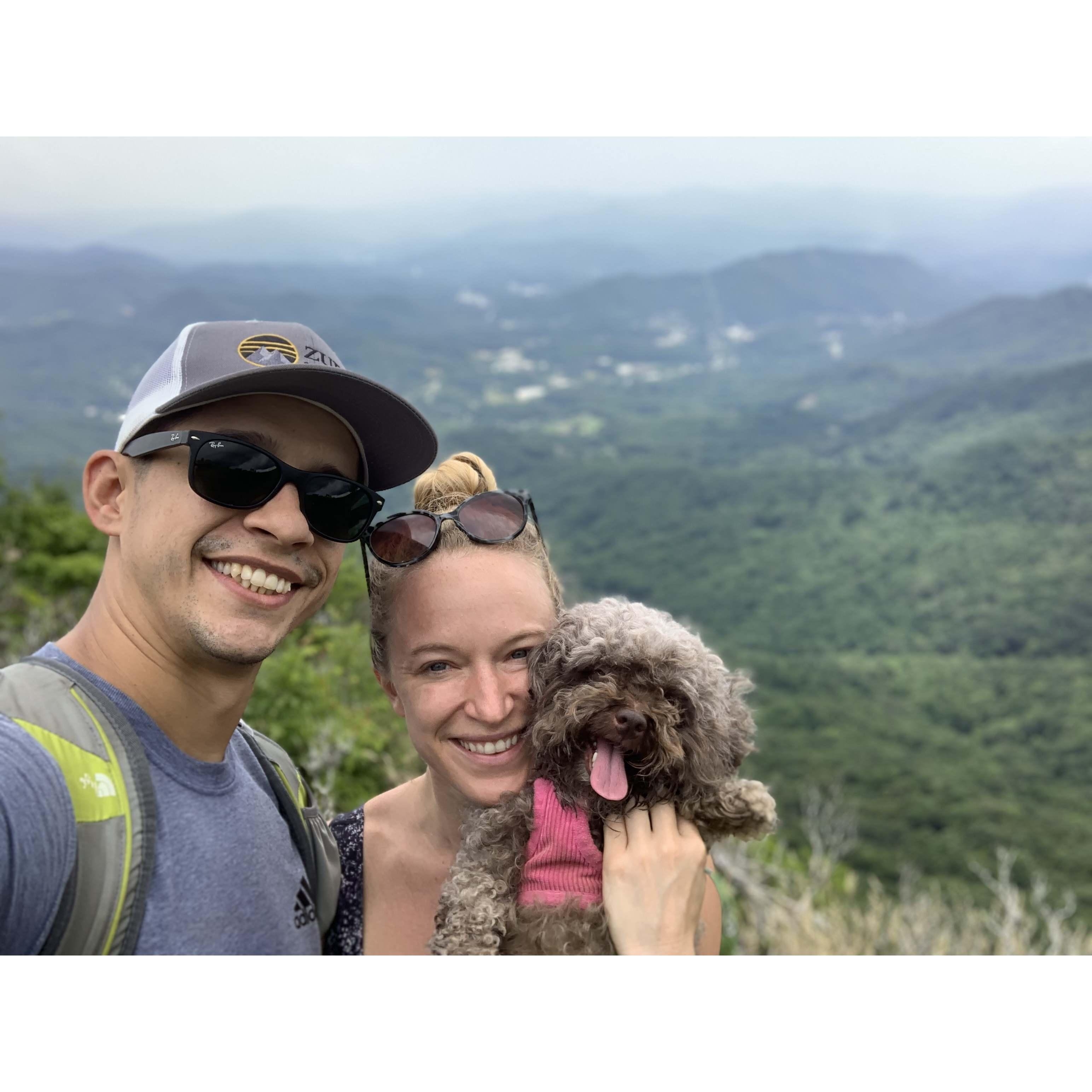 Asheville 2021