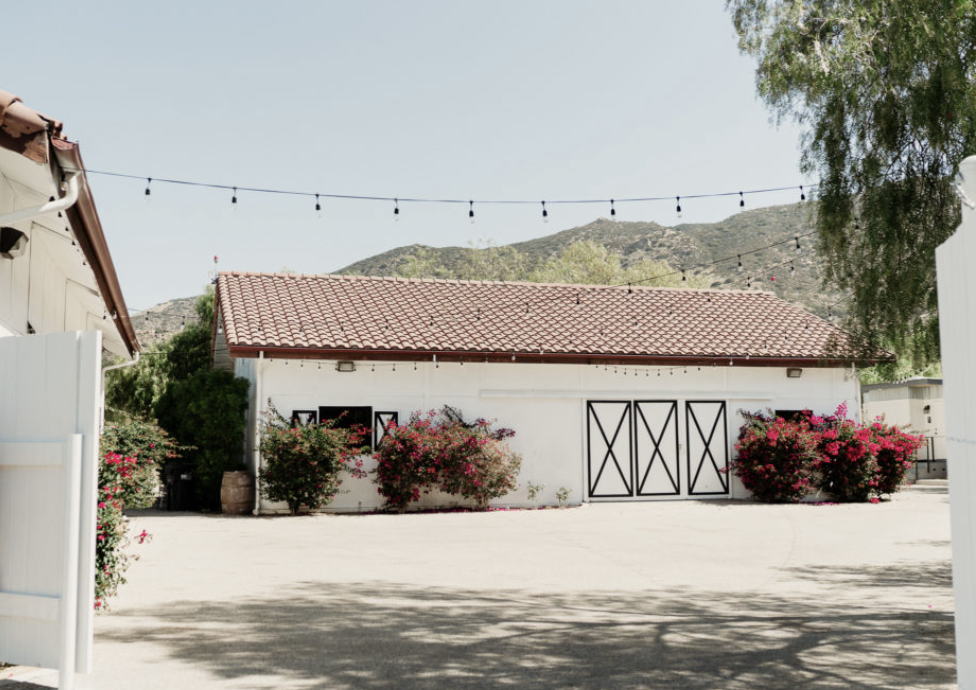 The Wedding Website of Simona Melandovich and David Tsuprun