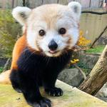 Smithsonian National Zoological Park