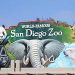San Diego Zoo