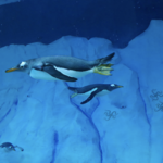 Detroit Zoo