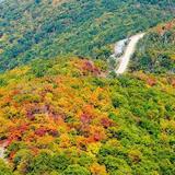 Scenic Skyline Drive