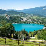 Ride the Alpine Coaster (toboggan)