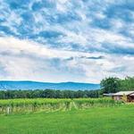 Mount Nittany Vineyard and Winery