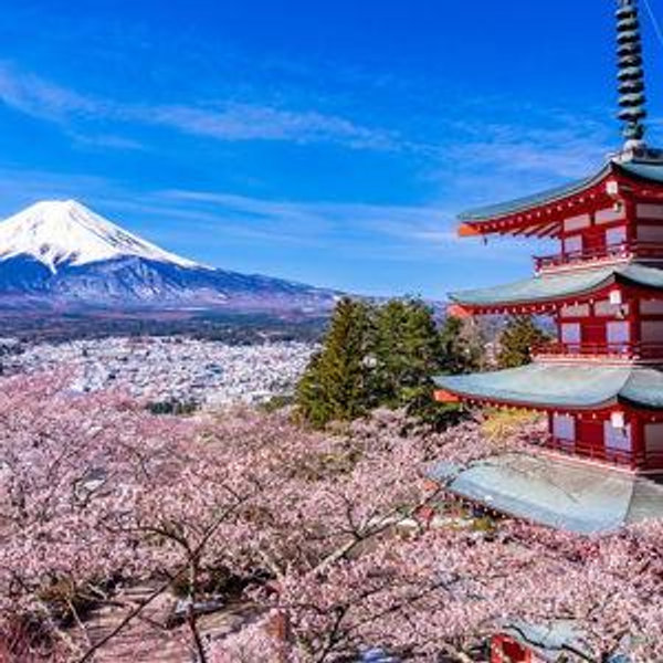 Honeymoon to Japan