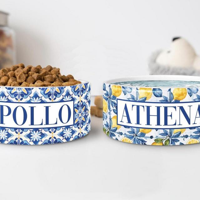 Personalized Dog Bowls, Mediterranean Style Custom Ceramic Food and Water Pet Bowls