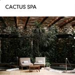 Cactus Spa @ Hacienda Del Mar