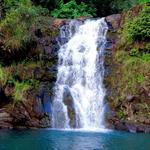 Waimea Valley