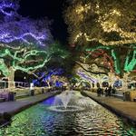 Houston Zoo's Christmas "Zoolights"
