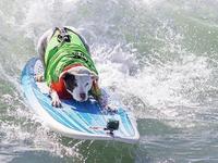 Huntington Dog Beach