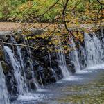 Ridley Creek State Park