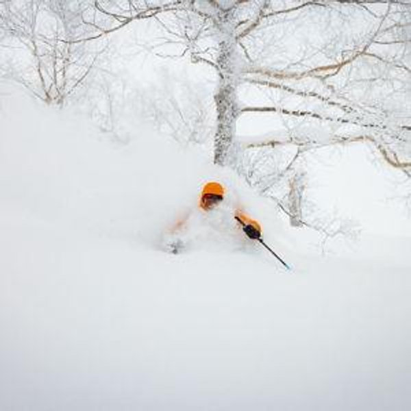 Ski Pass - Japan