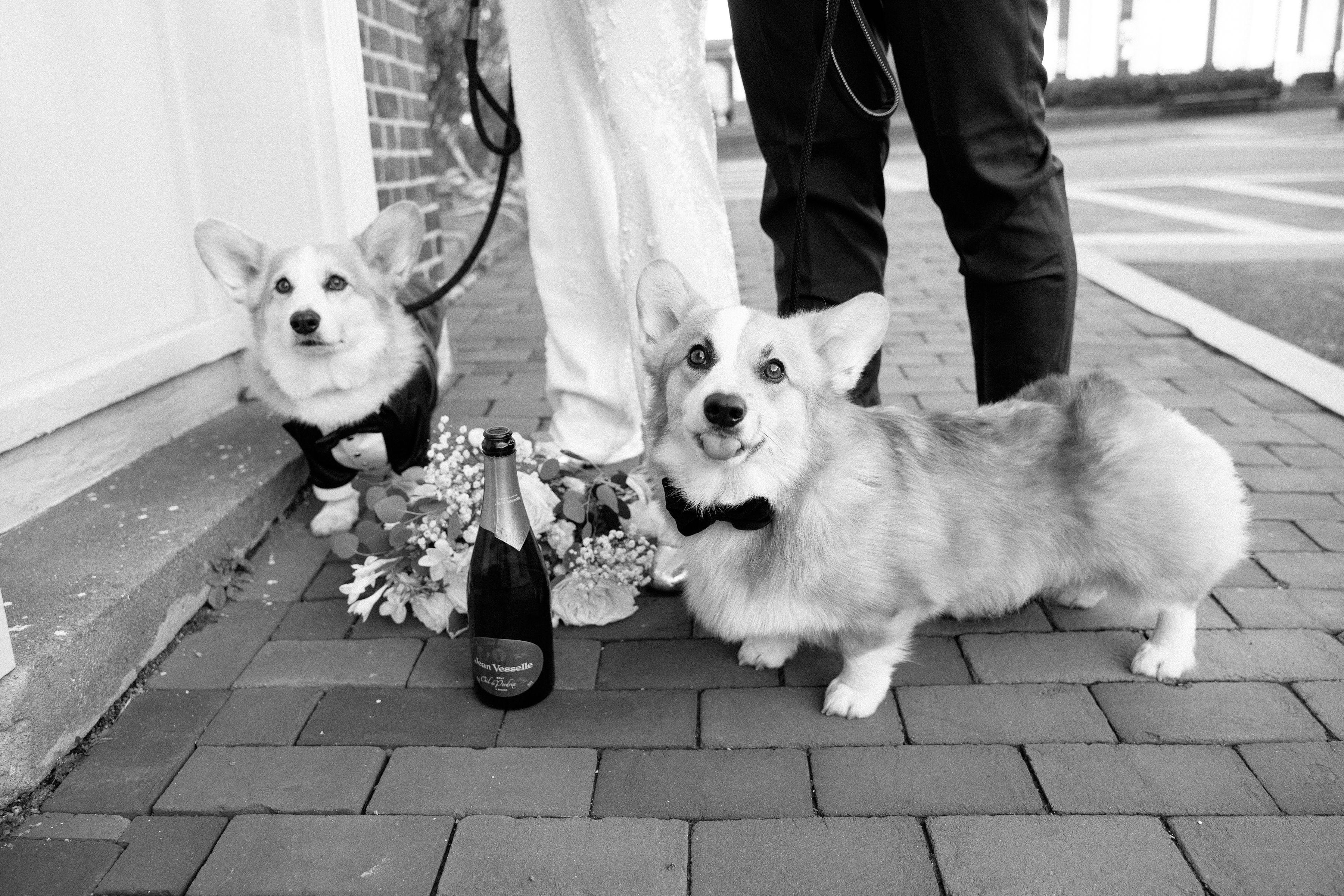 The Wedding Website of Caroline Patterson and Travis Burgess
