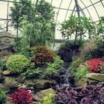 Krohn Conservatory