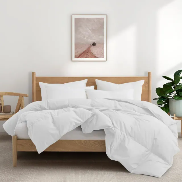 Puredown All Season Organic Cotton Down Comforter - 100% Natural, Chemical-Free, Medium Warmth Duvet Insert, White, Full/Queen