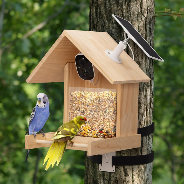 Sandinrayli Smart Bird Feeder with Camera, 1080P HD AI Identify Bird Watching Camera