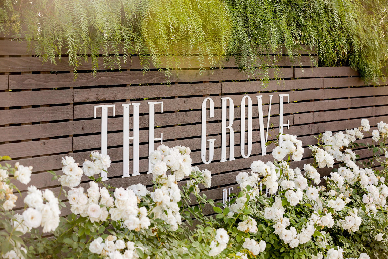 The Wedding Website of Tiare Silauititi Alefaio and Robert Marcell Lewis