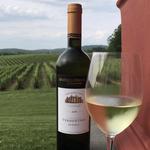 Barboursville Ruins and winery