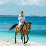 Horseback Riding on the Beach