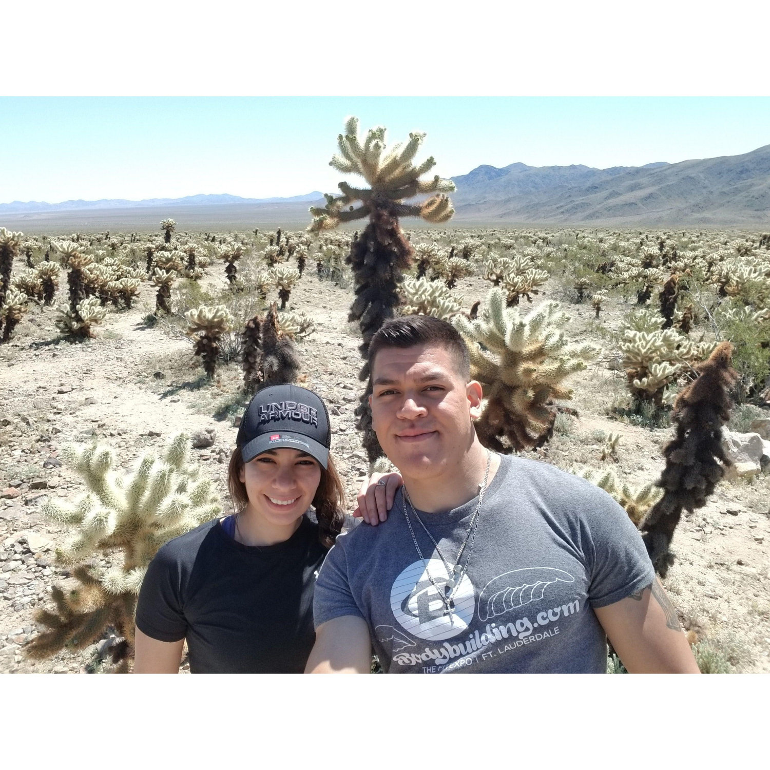Visiting Joshua Tree