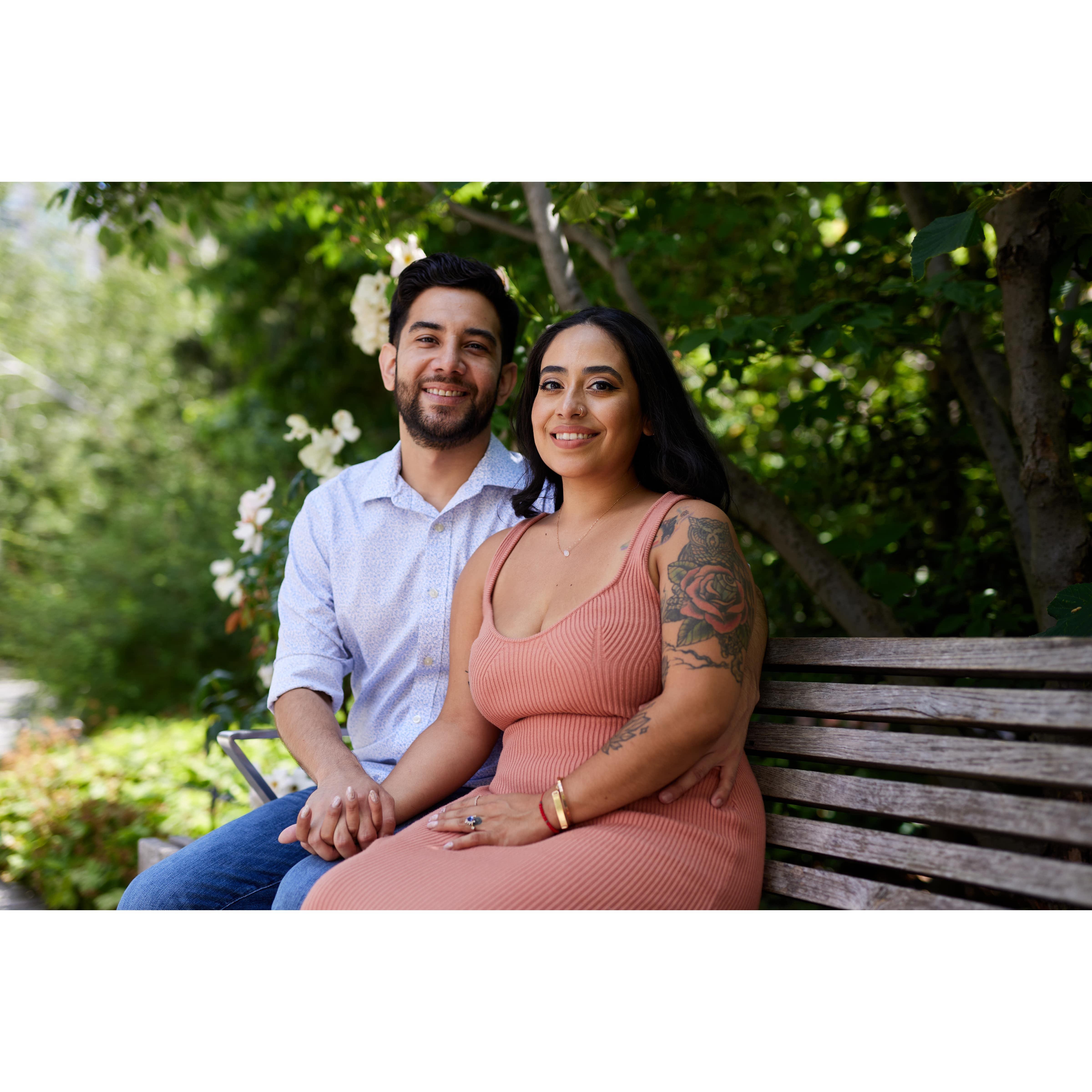 Engagement pictures on The Highline
