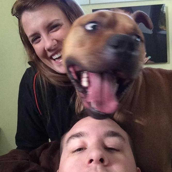 The brown dog is just too much.