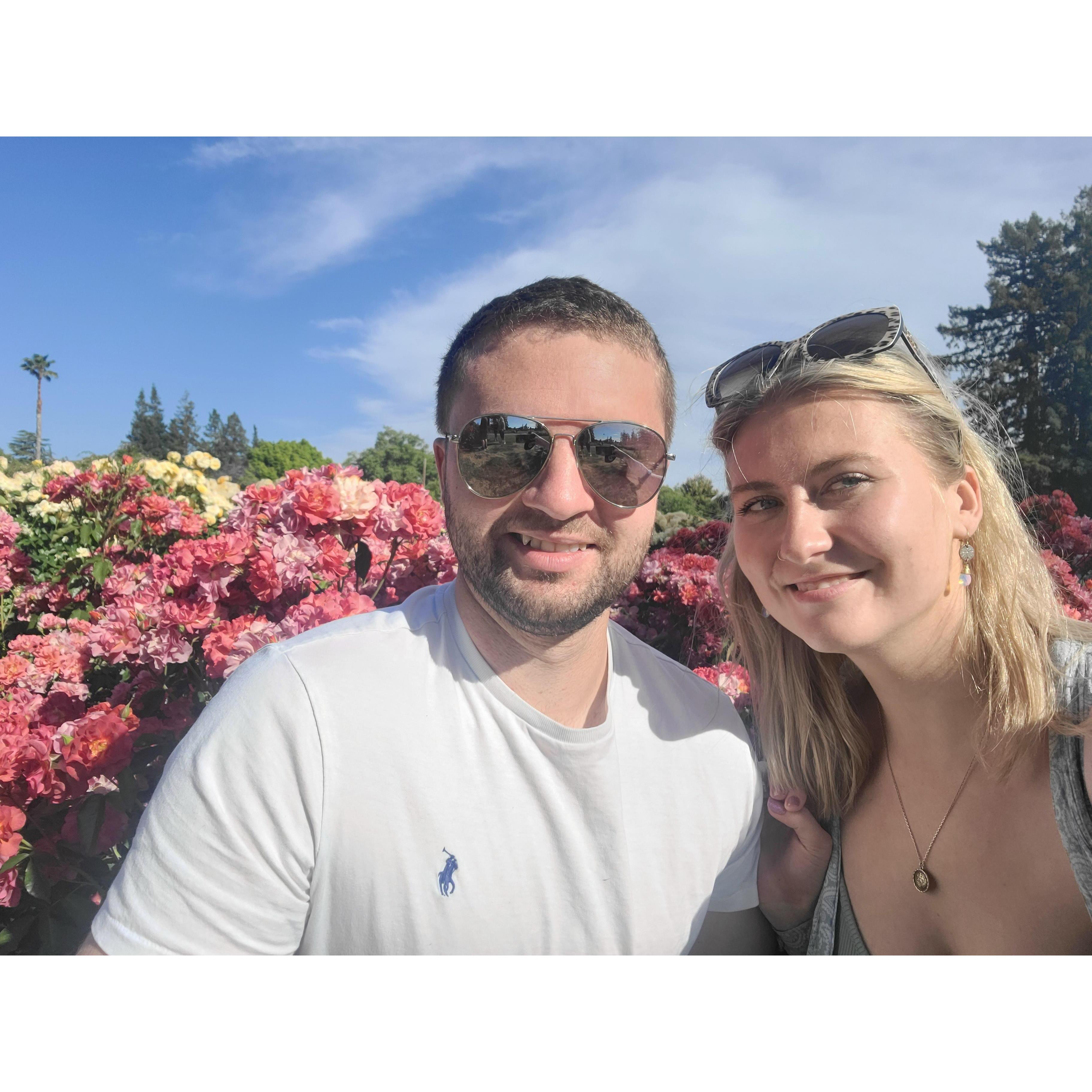 Rose gardens :)