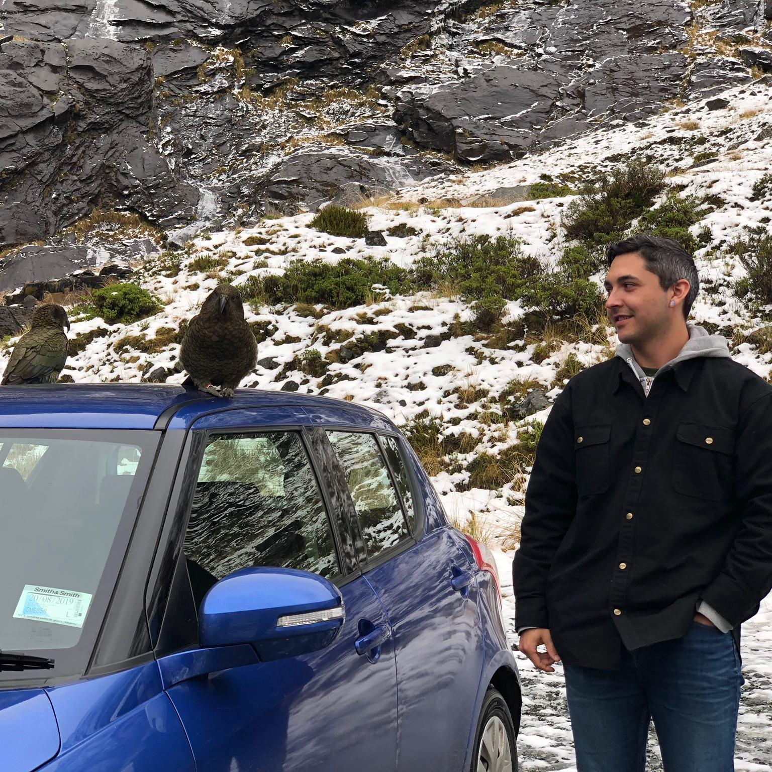 On the way to Piopiotahi (Milford Sound) is a single-lane tunnel that alternates the direction traffic can flow. The kea kept us entertained while waiting, and took a bite of our rental's window seal!