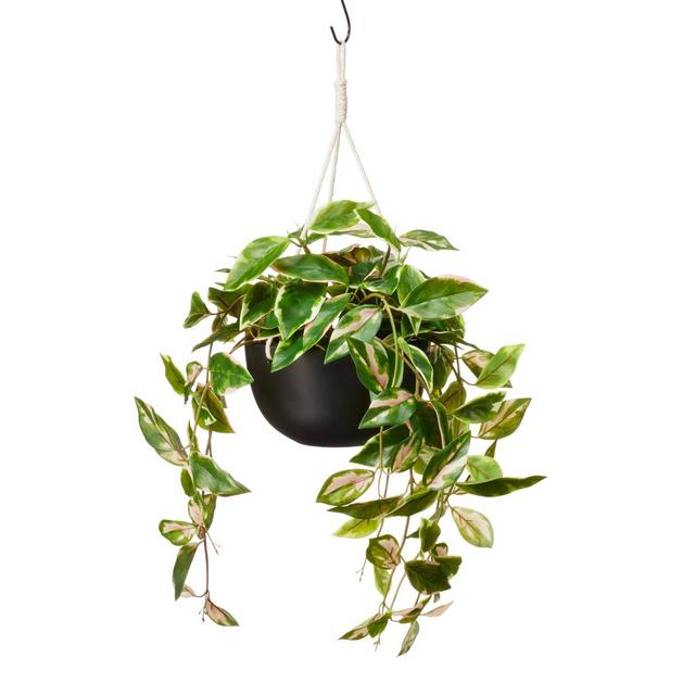 21 x 6 Artificial String of Pearl Plant in Hanging Basket - Nearly Natural