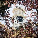 Clock Tower