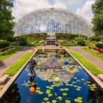 Missouri Botanical Garden