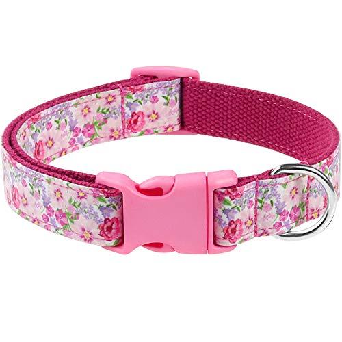 Taglory Western Dog Collar,Aztec Halloween and Flower Pattern for Boy & Girl Dogs, Fit Small Medium Large Breed