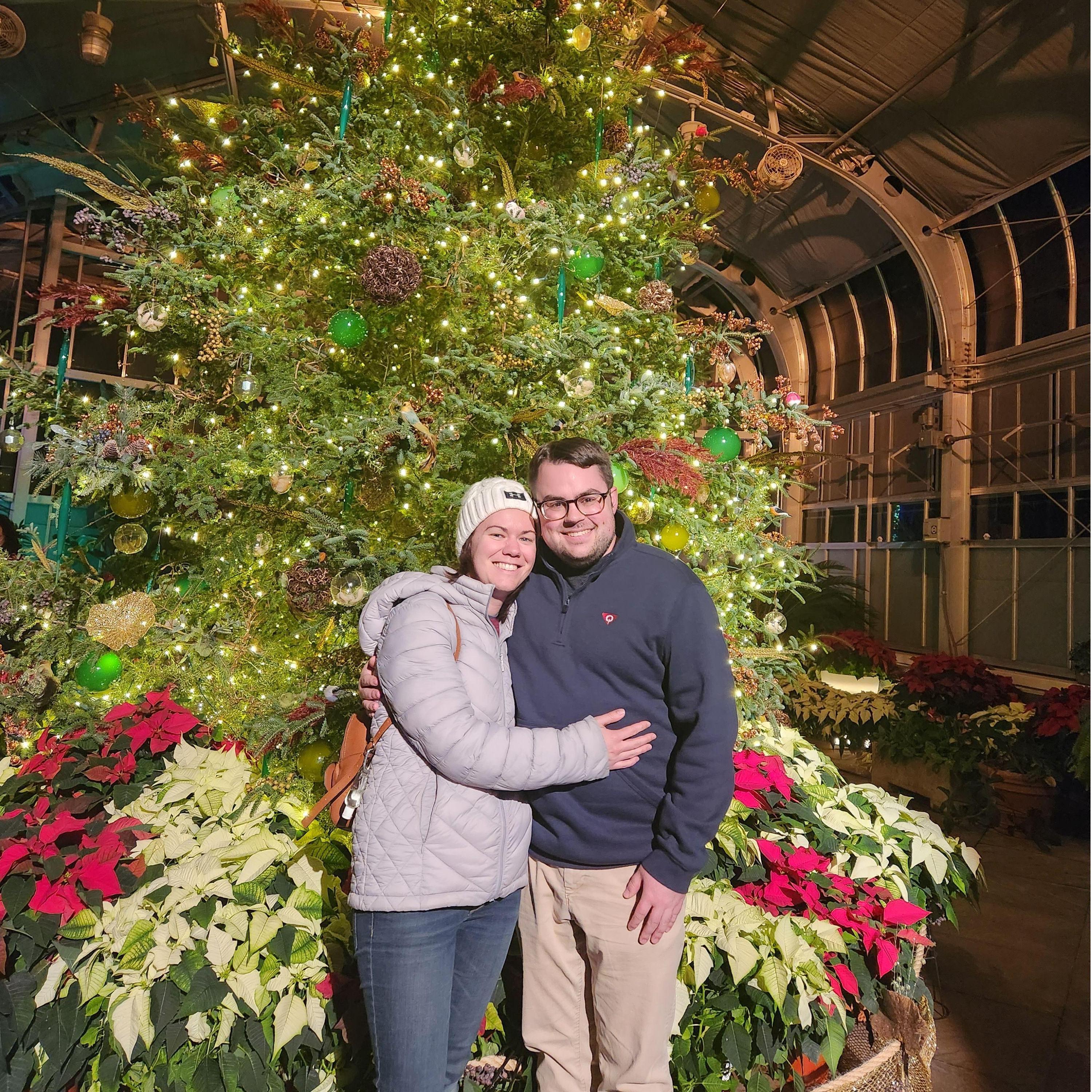 Falling in love under the Christmas tree.