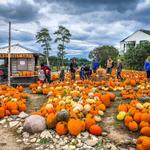 Pond Hill Farm