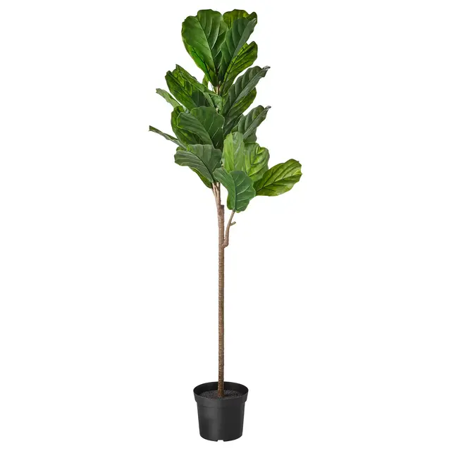 FEJKA Artificial potted plant, indoor/outdoor fiddle-leaf fig